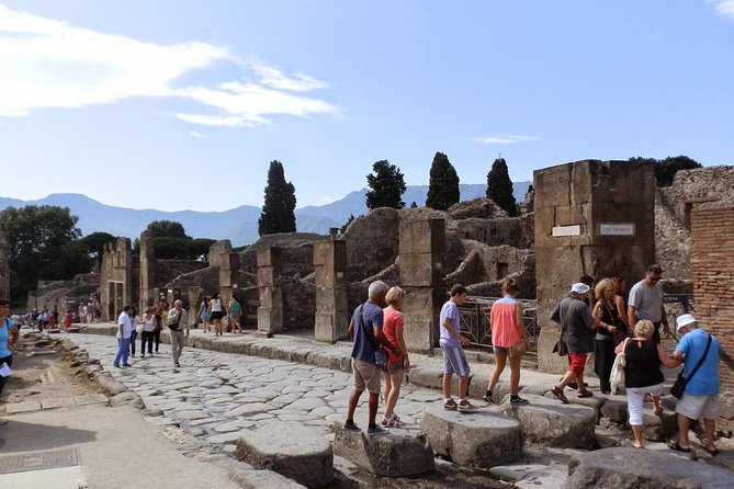 2 hours Pompeii Tour with Local Historian - Ticket Included - Weather, cancellations, and booking timing