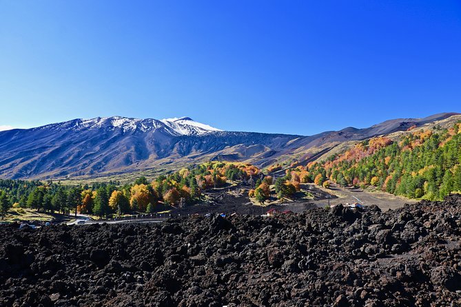 2002 Crater Excursion - Northern Etna - The 1911 and 1923 flows