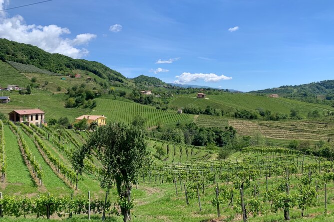 A Sparkling Day in the Prosecco Hills from Venice - A viewpoint among the hills