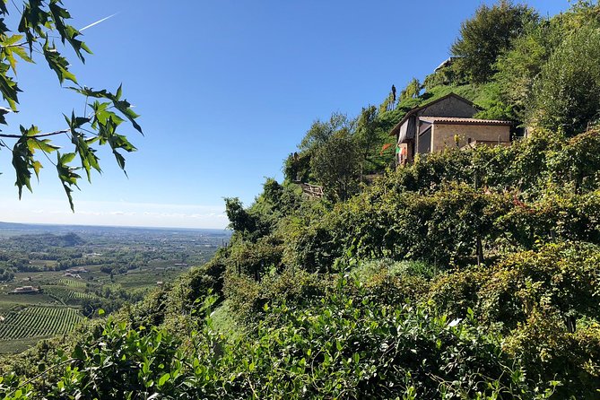 A Sparkling Day in the Prosecco Hills from Venice - The guides make the difference