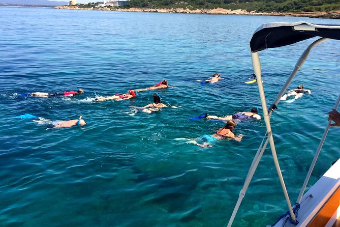 Alghero - Dolphin Watching and Guided Snorkeling (summer tour) - Why the research element adds real value