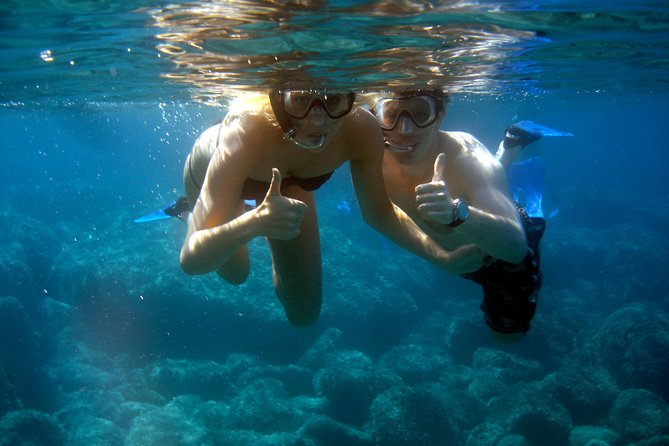 Alghero - Dolphin Watching and Guided Snorkeling (summer tour) - The four-hour search for wild dolphins