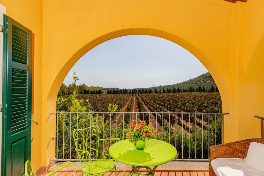 Alghero: Wine and Olive Oil Tasting at a Local Farm - Five Sardinian wines with local pairings