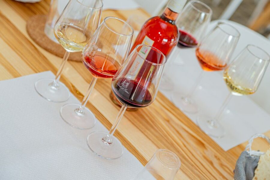 Alghero: Wine and Olive Oil Tasting at a Local Farm - The tasting room and first welcome