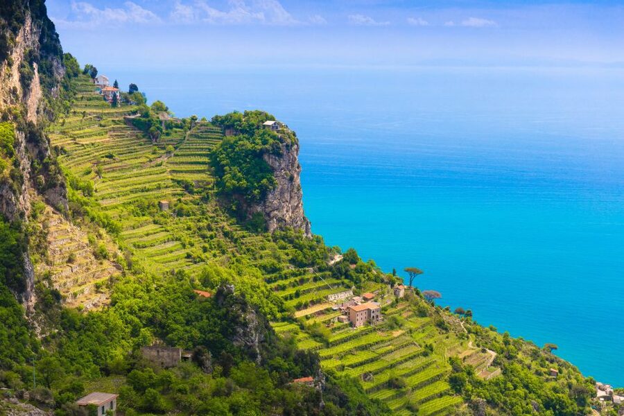 Amalfi: Cooking Class and Farmhouse Visit With Meal - The View and the Lemon-Grove Finish