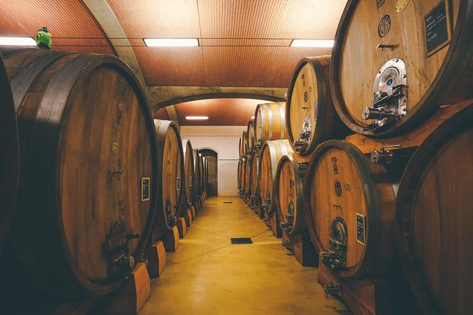 Amarone Wine-tasting Tour from Verona with Private Transportation - Why the small group improves the visit