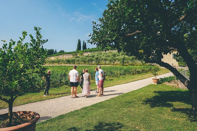 Amarone Wine-tasting Tour from Verona with Private Transportation - Price, timing, and what you receive