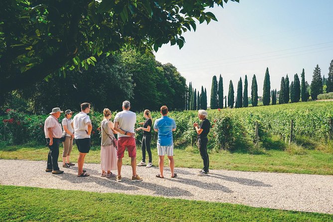 Amarone Wine-tasting Tour from Verona with Private Transportation - The practical verdict