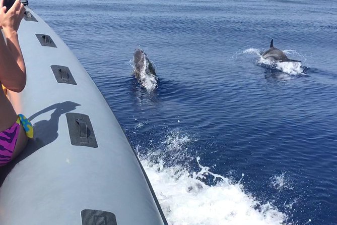 Amazing boat trip from Tropea to Capo Vaticano - 6 to 12 people - Formicoli Beach and Forum Erculis