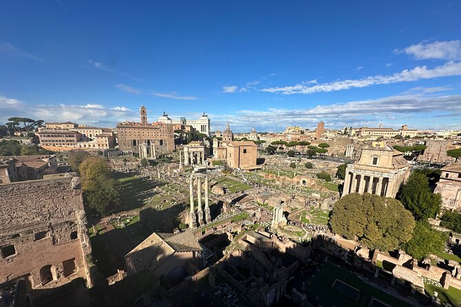 Ancient Rome Discovery: Colosseum, Forum, Palatine Guided Tour - Climbing Palatine Hill for Rome’s imperial views