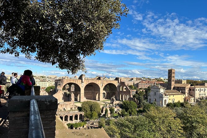 Ancient Rome Discovery: Colosseum, Forum, Palatine Guided Tour - Why the guide matters more than the ticket