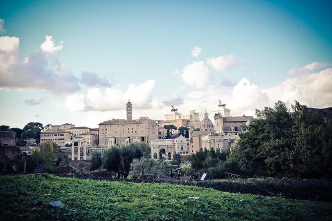 Ancient Rome Guided Walking Tour: Colosseum, Forum and Palatine - Palatine Hill and Rome’s founding story