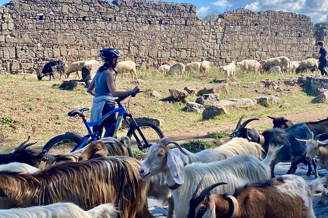 Appian Way & Aqueducts small group e-bike tour(catacombs & food) - The aqueducts at Parco degli Acquedotti