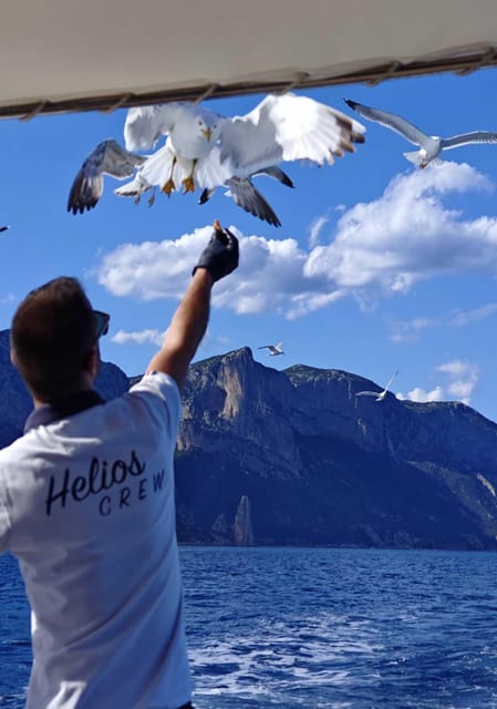Arbatax: Gulf of Orosei Day Tour by Boat - Coastal sights between Arbatax and the Gulf of Orosei