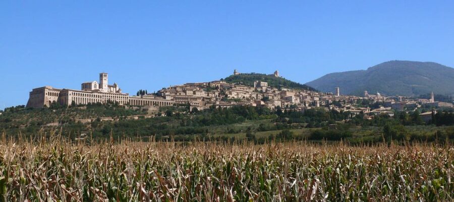 Assisi: Walking Tour with St. Francis Basilica Visit - Why this Assisi walking tour works