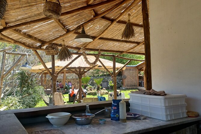 Authentic Farm Tour with Pizza, Cheese, Wine & Limoncello Tasting - What the Meal Includes