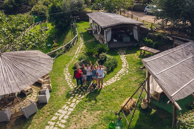 Authentic Farm Tour with Pizza, Cheese, Wine & Limoncello Tasting - Wine Among the Vines