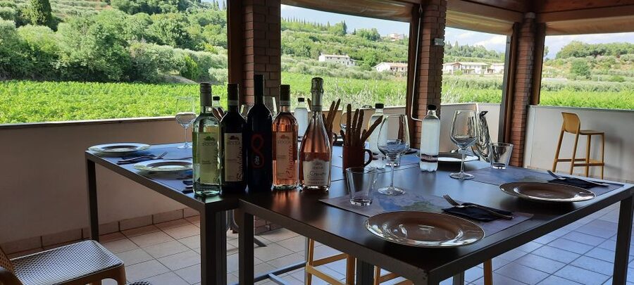 Bardolino: Vineyard Tour with Wine, Olive Oil & Food Tasting - Reaching the Family Farm Above Bardolino