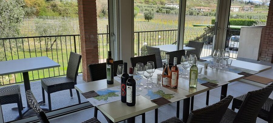 Bardolino: Vineyard Tour with Wine, Olive Oil & Food Tasting - The Guides Make the Difference