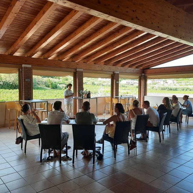 Bardolino: Vineyard Tour with Wine, Olive Oil & Food Tasting - A Short Walk Through Bardolino’s Vineyards