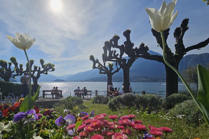 Bellagio & Varenna Full-day Tour on Lake Como by private boat - The final cruise back to Como