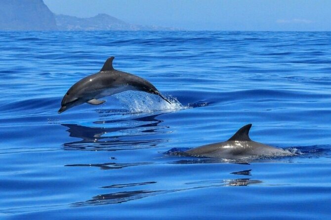 Boat tour Giardini Naxos Taormina Isola Bella Blue Grotto - Isola Bella and its unusual story