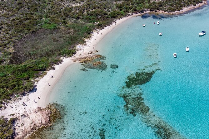 Boat trip La Maddalena Archipelago - Departure from Palau - Commentary that earns its place