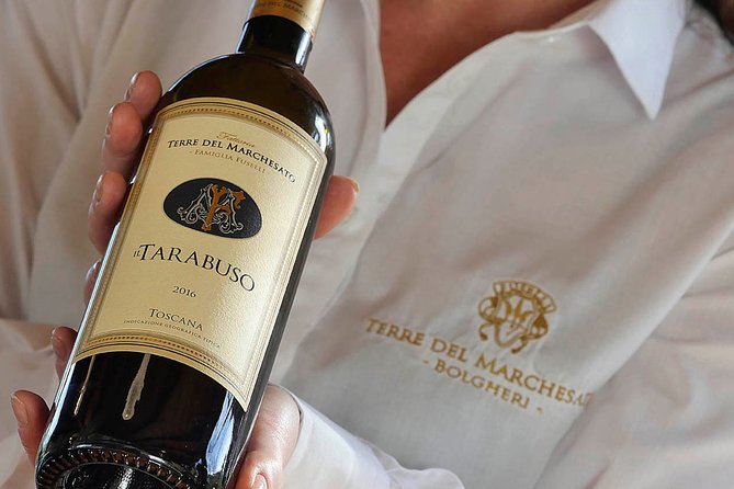 Bolgheri: Classic Wine Tasting with Winery Tour - Key points at a glance
