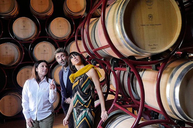 Bolgheri: Classic Wine Tasting with Winery Tour - What the $30.25 price really buys