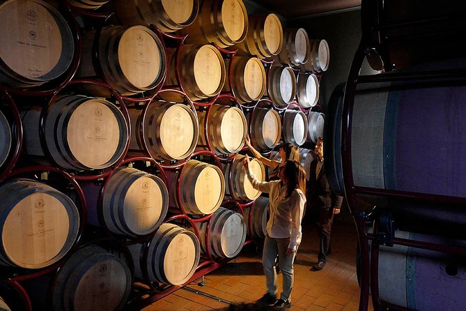 Bolgheri: Classic Wine Tasting with Winery Tour - Who should book this experience?
