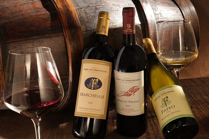 Bolgheri: Classic Wine Tasting with Winery Tour - Walking through the Terre del Marchesato vineyards