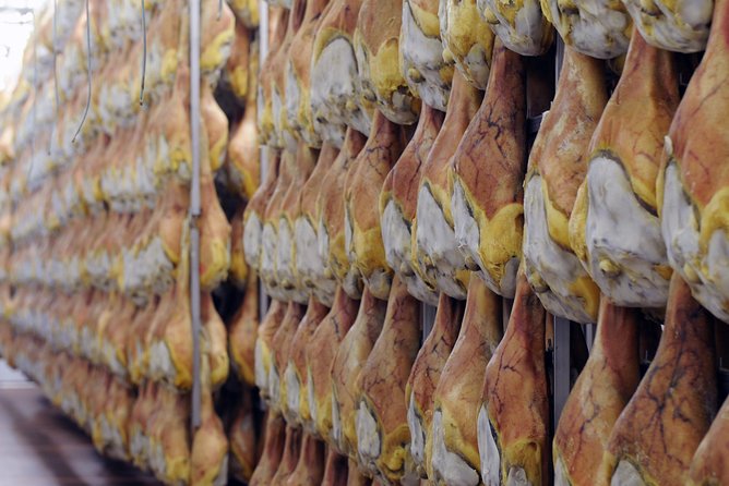 Bologna Food Experience: Factory tours & Family-Style Lunch - The Family-Style Lunch Is the Main Event