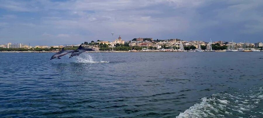 Cagliari: Boat Tour, 4 Stops, Swim, Snorkeling, & 1 Spritz - The cruise port and the chance to see dolphins