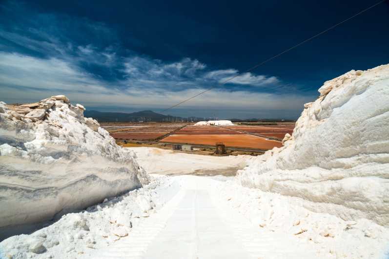 Cagliari: Conti Vecchi Salt Flats Train and Tour - Five things to know before visiting