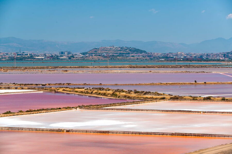 Cagliari: Conti Vecchi Salt Flats Train and Tour - The one-hour train through Santa Gilla