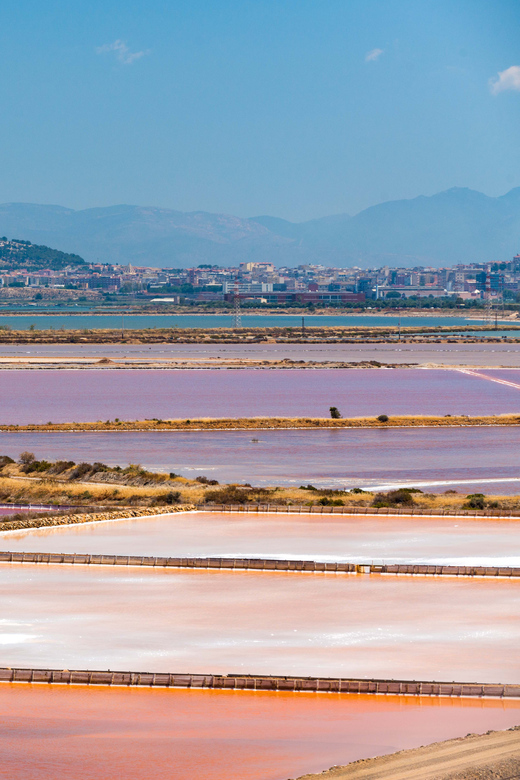 Cagliari: Conti Vecchi Salt Flats Train and Tour - Flamingos, pink water, and the best photo moments