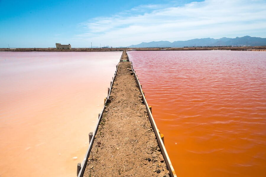 Cagliari: Conti Vecchi Salt Flats Train and Tour - What the salt-production story adds