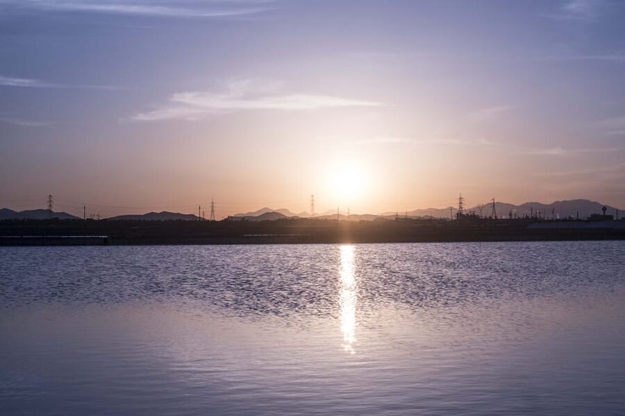 Cagliari: Conti Vecchi Salt Flats Train and Tour - Language and guide quality