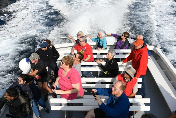 Capri Coast to Coast: Boat Tour with Optional Blue Grotto - Is $28.76 a Good Value?