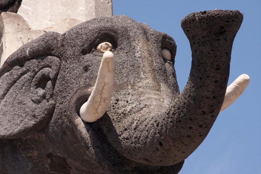 Catania: City Highlights Walking Tour - The Fish Market: Catania’s everyday side