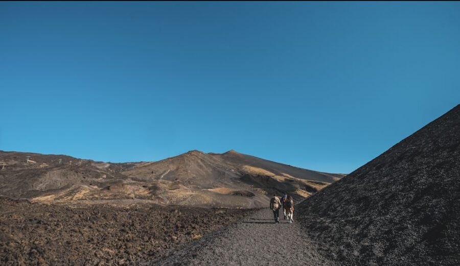 Catania: Etna Morning Excursion with Tasting and Pickup - Why this half-day Etna trip works well