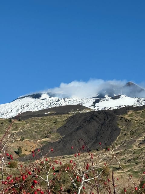 Catania: Morning Jeep Tour of Mount Etna and Lava Flow Caves - Grotta Cassone and Grotta del Gatto