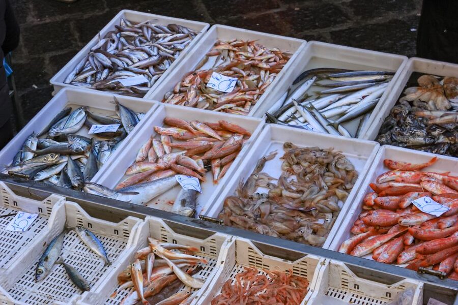 Catania: Street Food Guided Walking Tour - The Fish Market near the Roman Theater