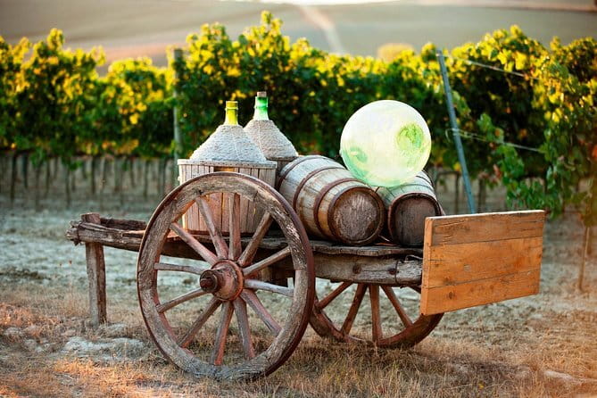 Chianti Delights: A Tale Of Two Wineries With A Vineyard Dinner - What the two winery stops really offer