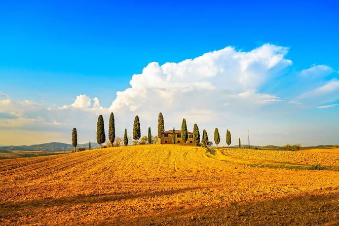Chianti Vineyards Escape from Florence with Two Wine Tastings - Wine, olive oil, and buying souvenirs