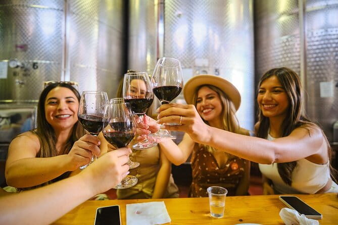 Chianti Vineyards Escape from Florence with Two Wine Tastings - Who should book this Chianti outing?