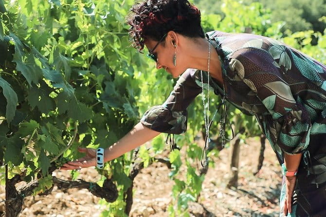 Chianti Wine Tour from Florence - First stop: a small organic winery on Via Chiantigiana