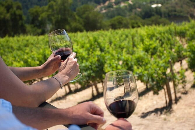Chianti Wine Tour from Florence - Second stop: vineyard walk, cellar, and aromatic garden