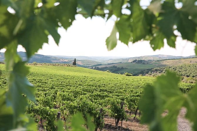Chianti Wine Tour from Florence - What the tasting and food are really like