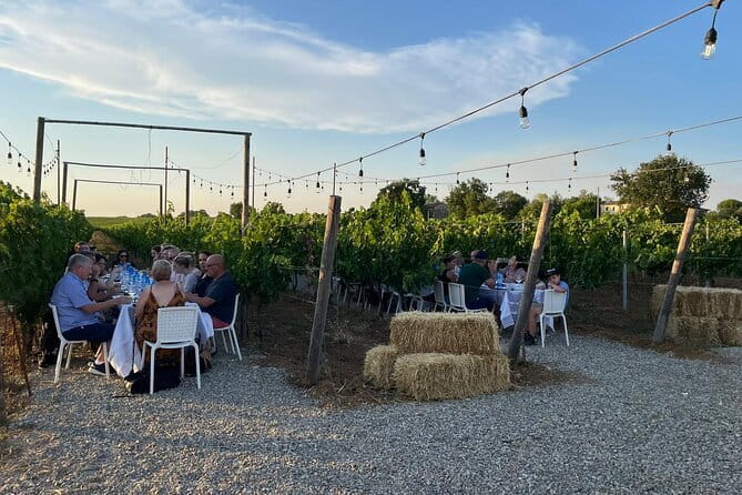 Chianti Wine Tour from Florence with Tastings - Fattoria Lornano: A clear introduction to Chianti wine